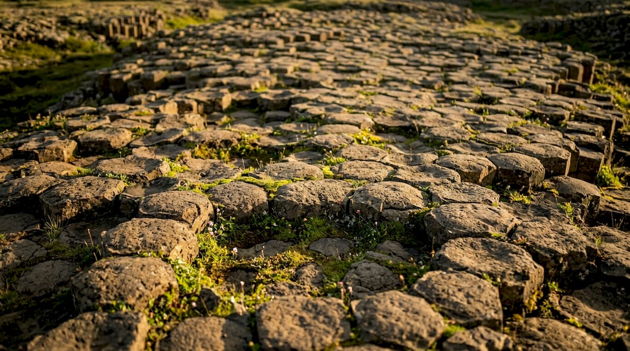 Close-up of Kirkjugólf basalt stone floor formation