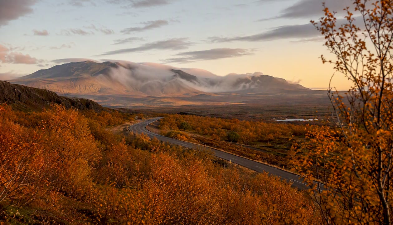 Icelandic autumn countryside road with golden leaves