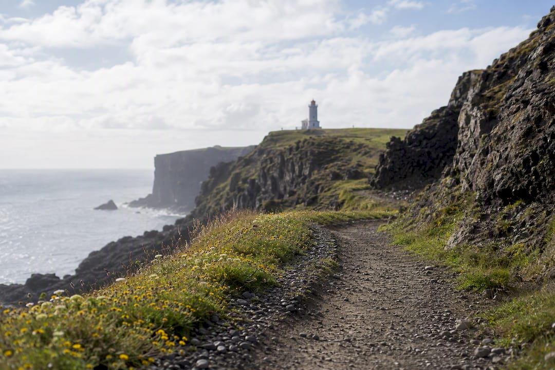 Dyrhólaey lighthouse seen from coastal walking path