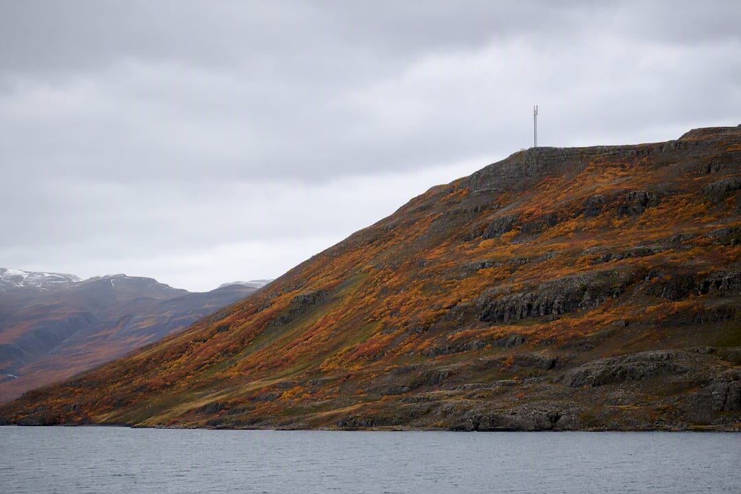 Remote Icelandic fjord with cell tower