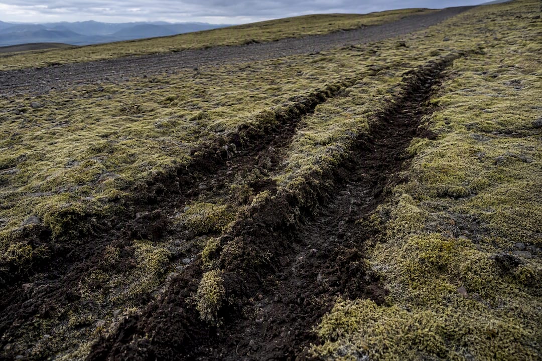 Tire ruts damaging fragile Icelandic moss