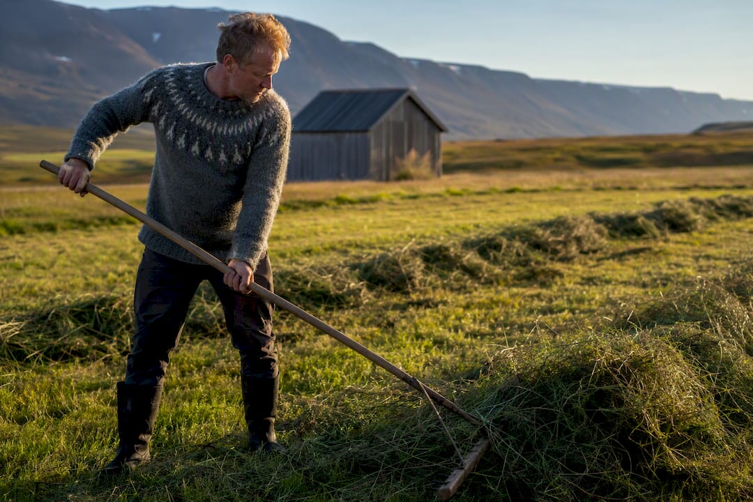 Farmer haymaking in Icelandic summer light
