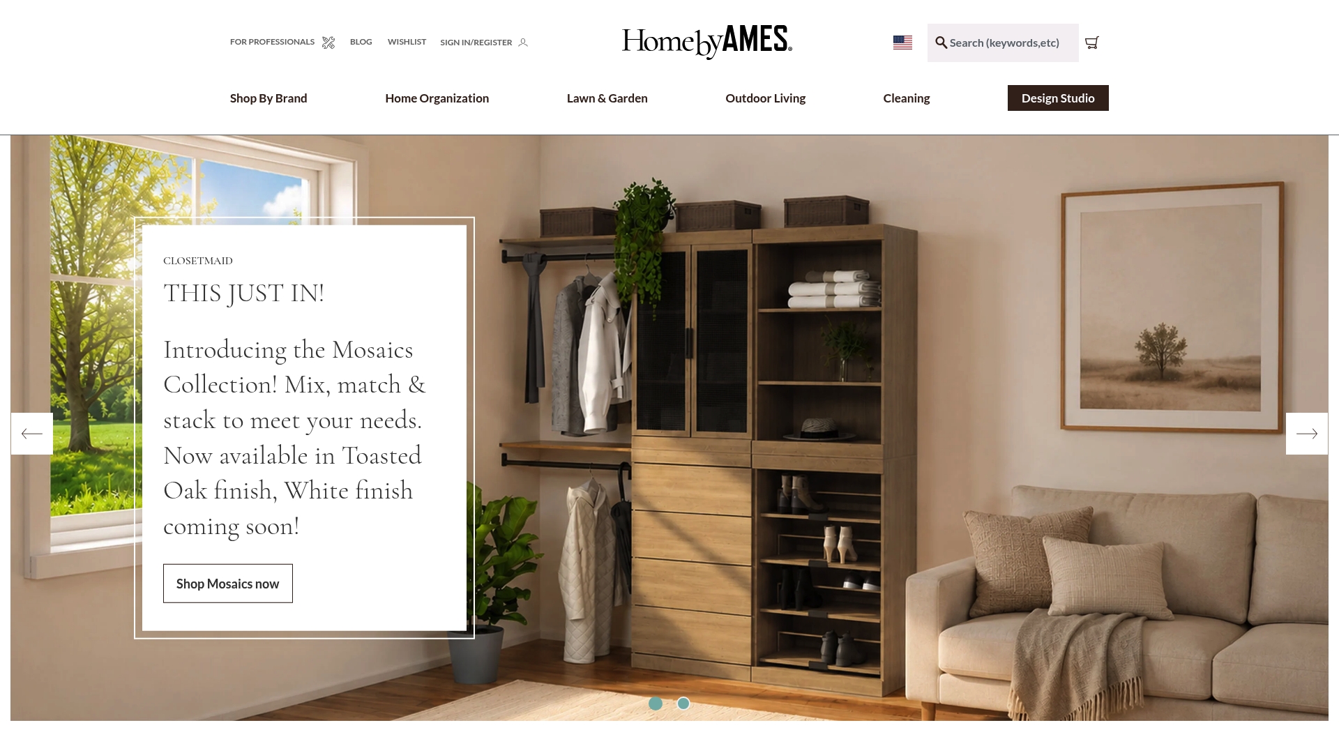 https://ames.com