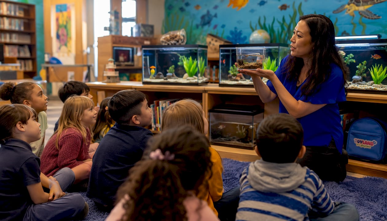 Classroom display of beginner pet fish tanks