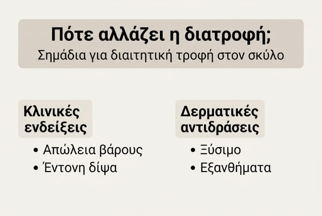 Εικονογραφημένος οδηγός: Πότε ο σκύλος σου χρειάζεται ειδική διατροφή