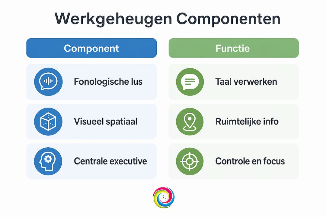 In deze infographic worden de onderdelen en functies van het werkgeheugen overzichtelijk weergegeven.