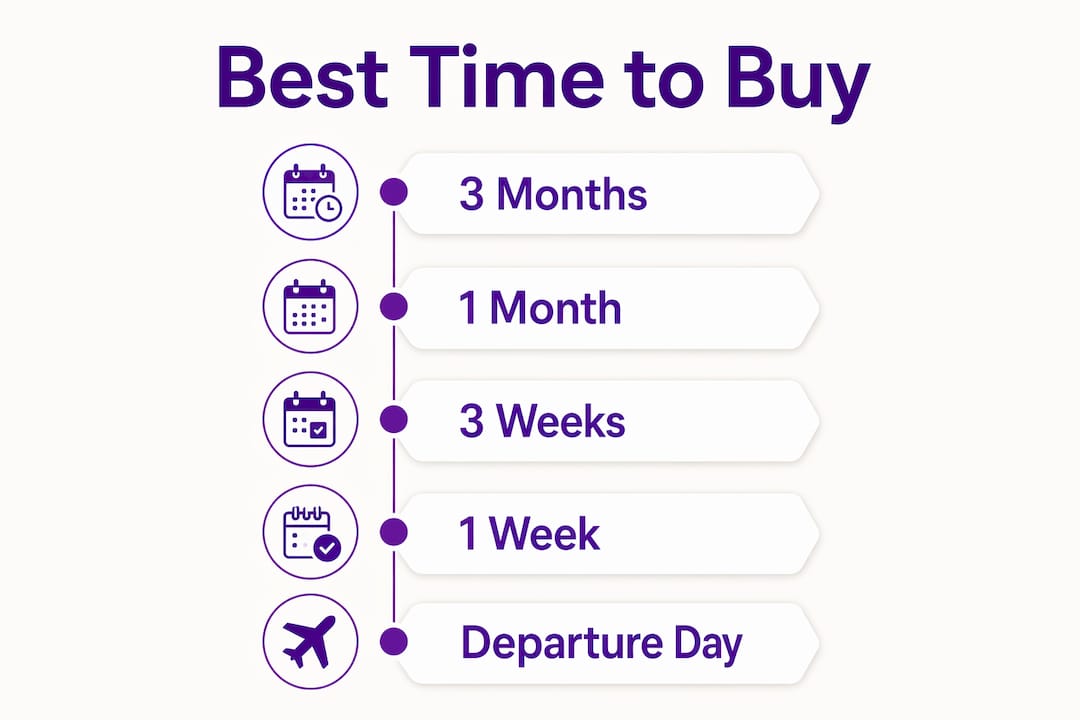 Infographic timeline for buying holiday money