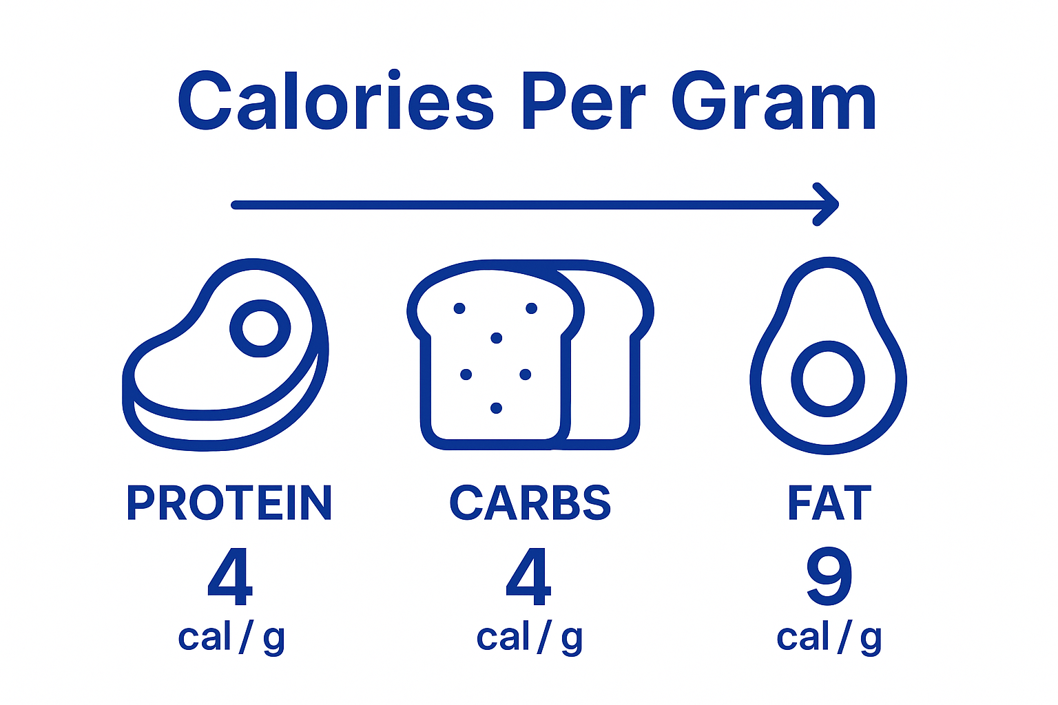 Infographic comparing calories per gram for protein, carbohydrate, and fat.