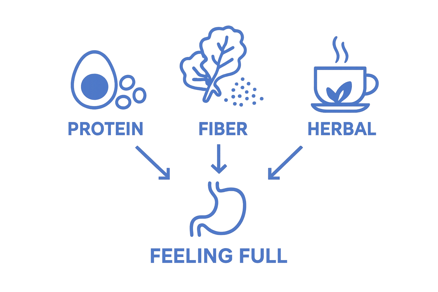 Infographic comparing protein, fiber, and herbal sources as natural appetite suppressants