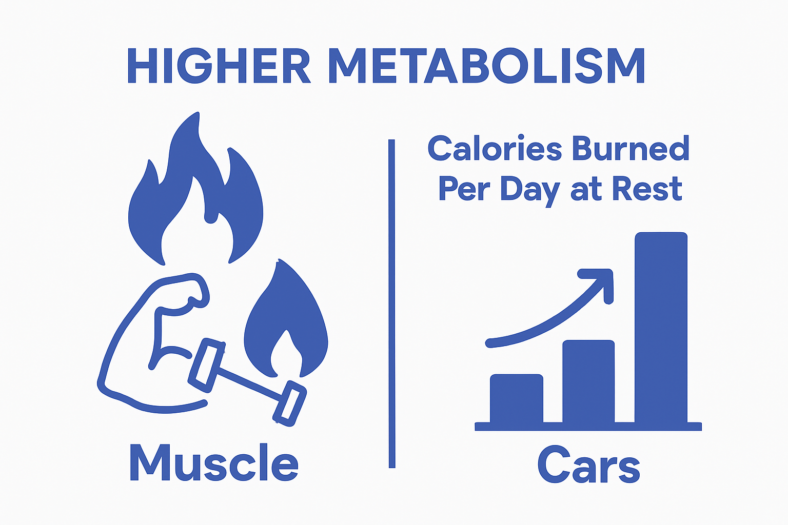 Muscle vs fat calorie burn infographic; flames and icon sizes visually show muscle burns more calories than fat.