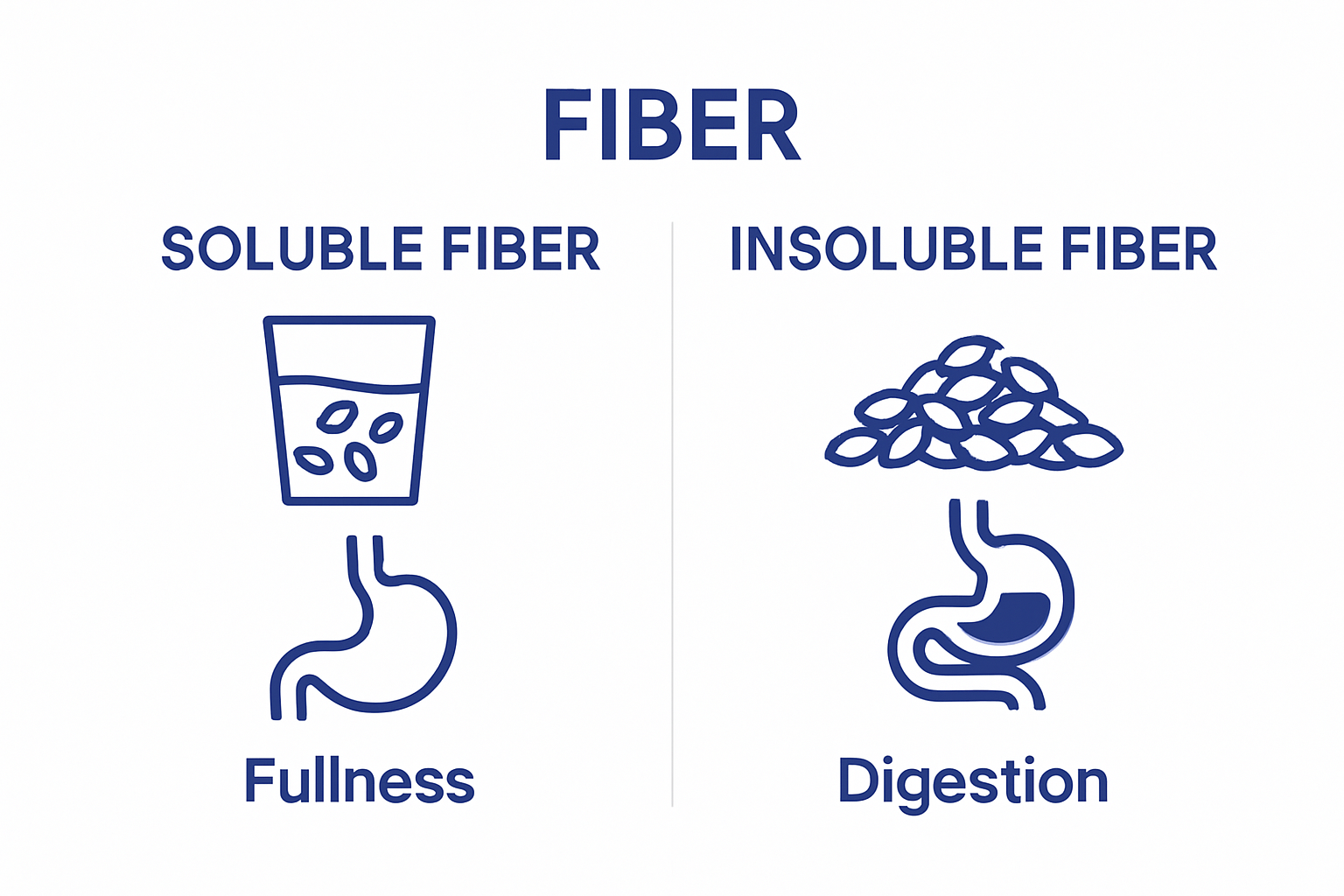 Simple infographic comparing soluble and insoluble fiber with clear representative icons