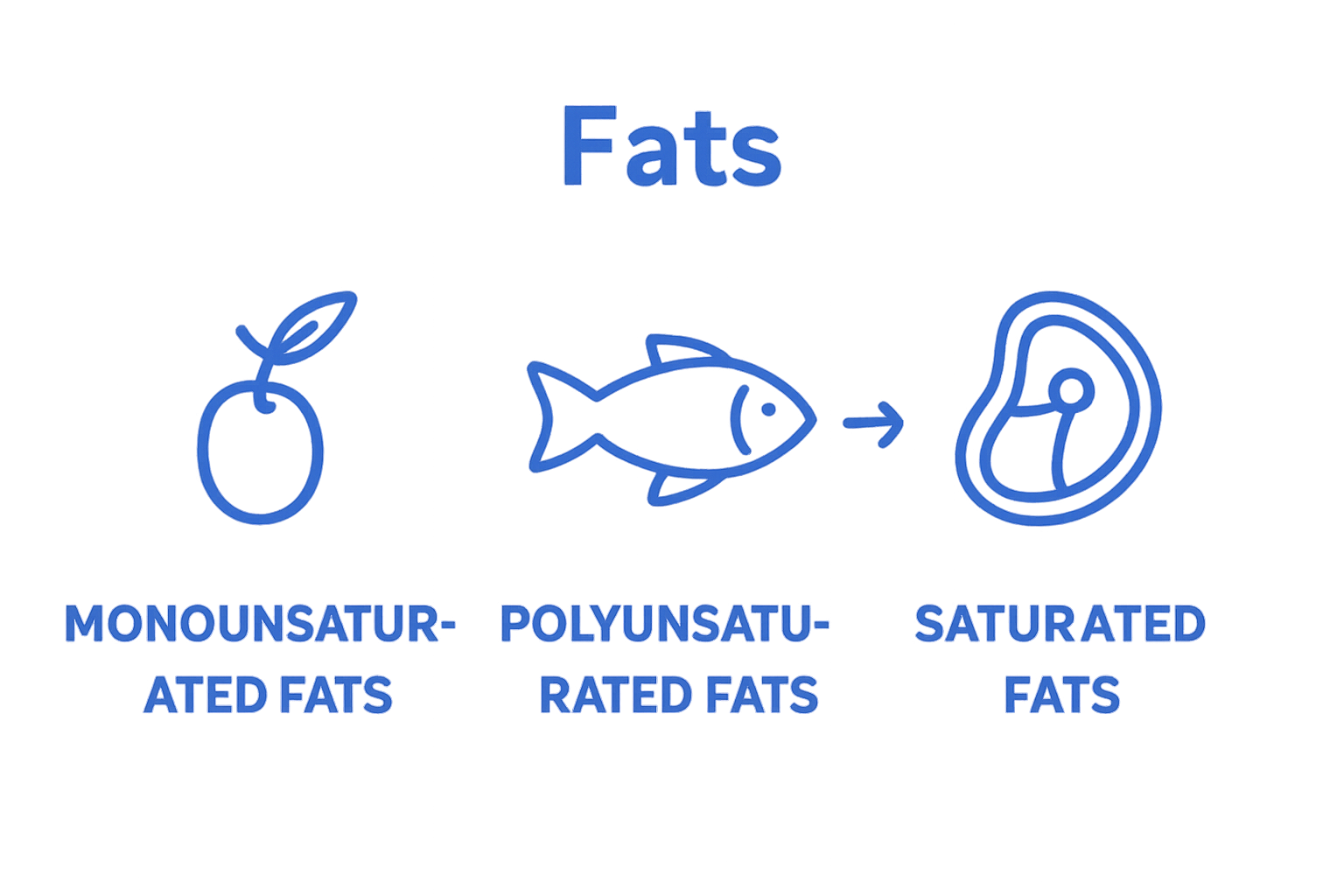 Infographic comparing three main types of dietary fats with icons