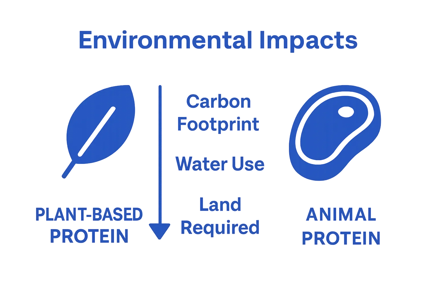 Side-by-side comparison of plant vs. animal protein environmental impact