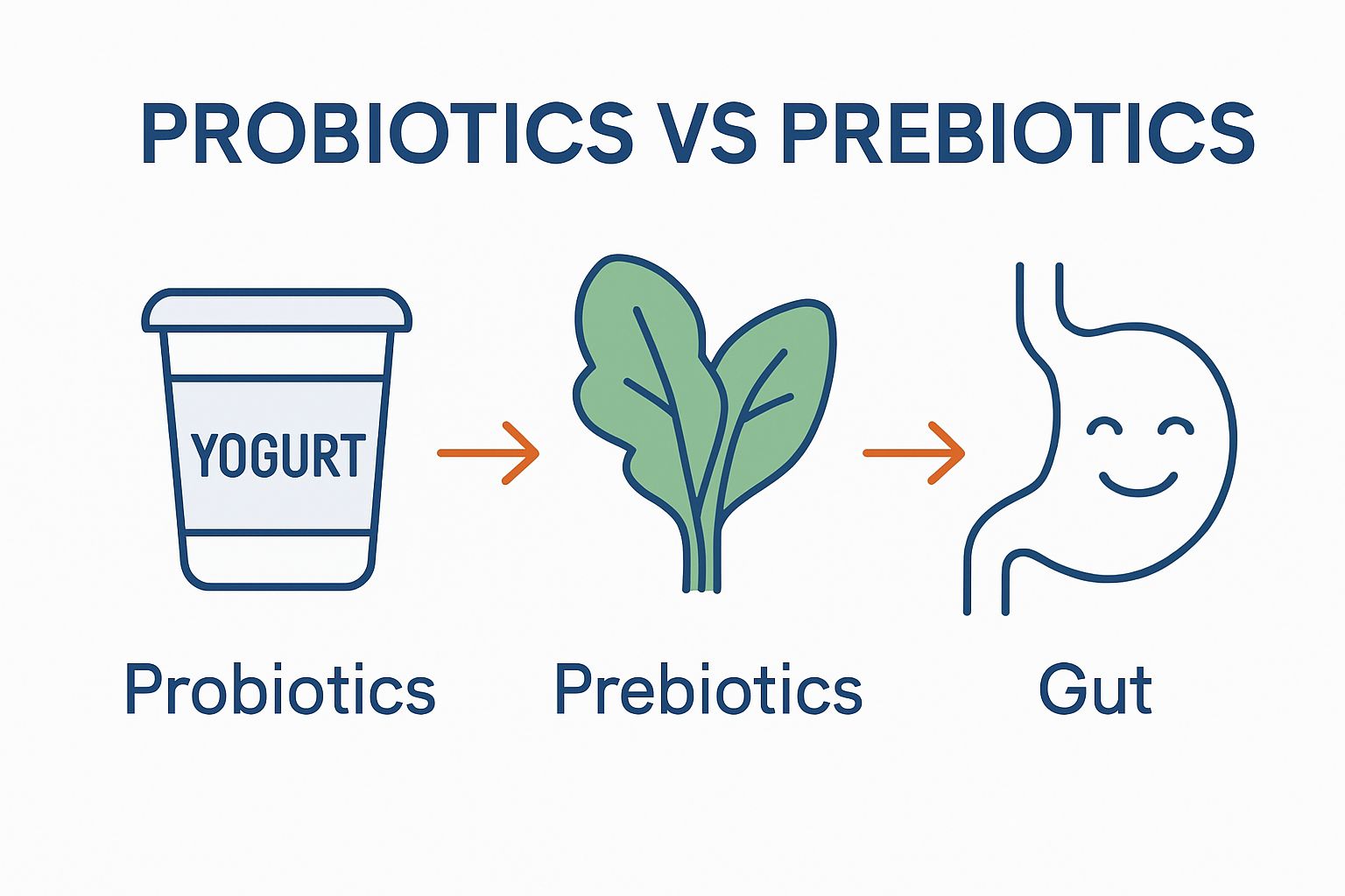 Simple probiotic vs prebiotic comparison infographic