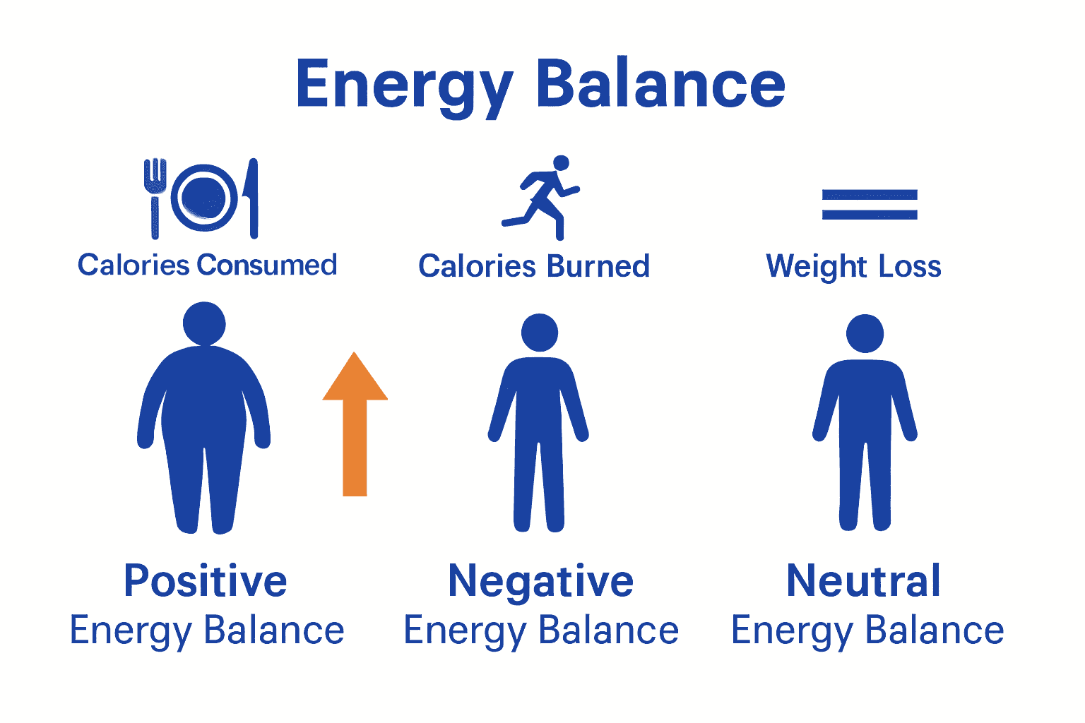 Infographic showing positive, negative, and neutral energy balance with icons for calories consumed, burned, and weight change.