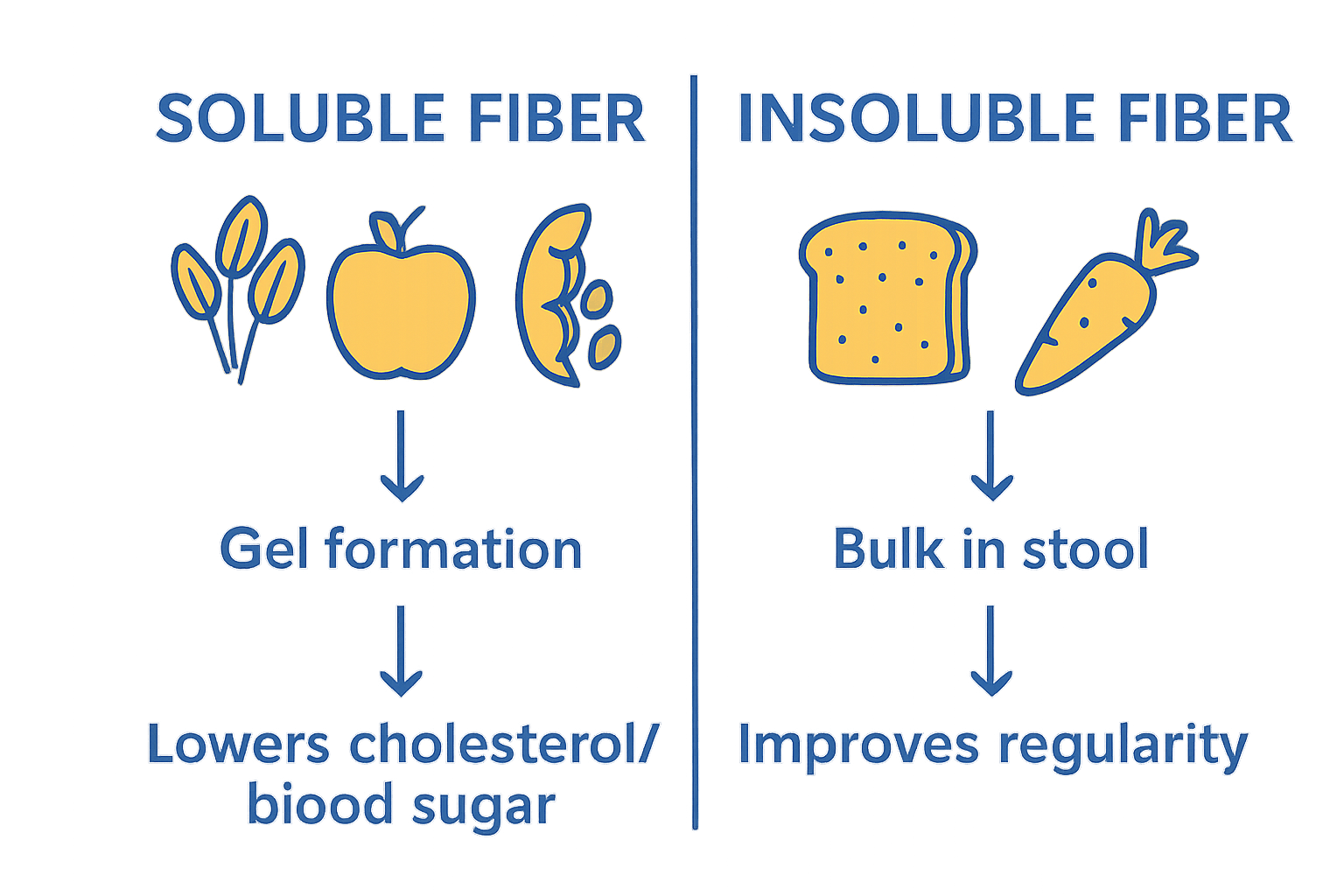 Comparison infographic of soluble vs insoluble fiber with benefits.