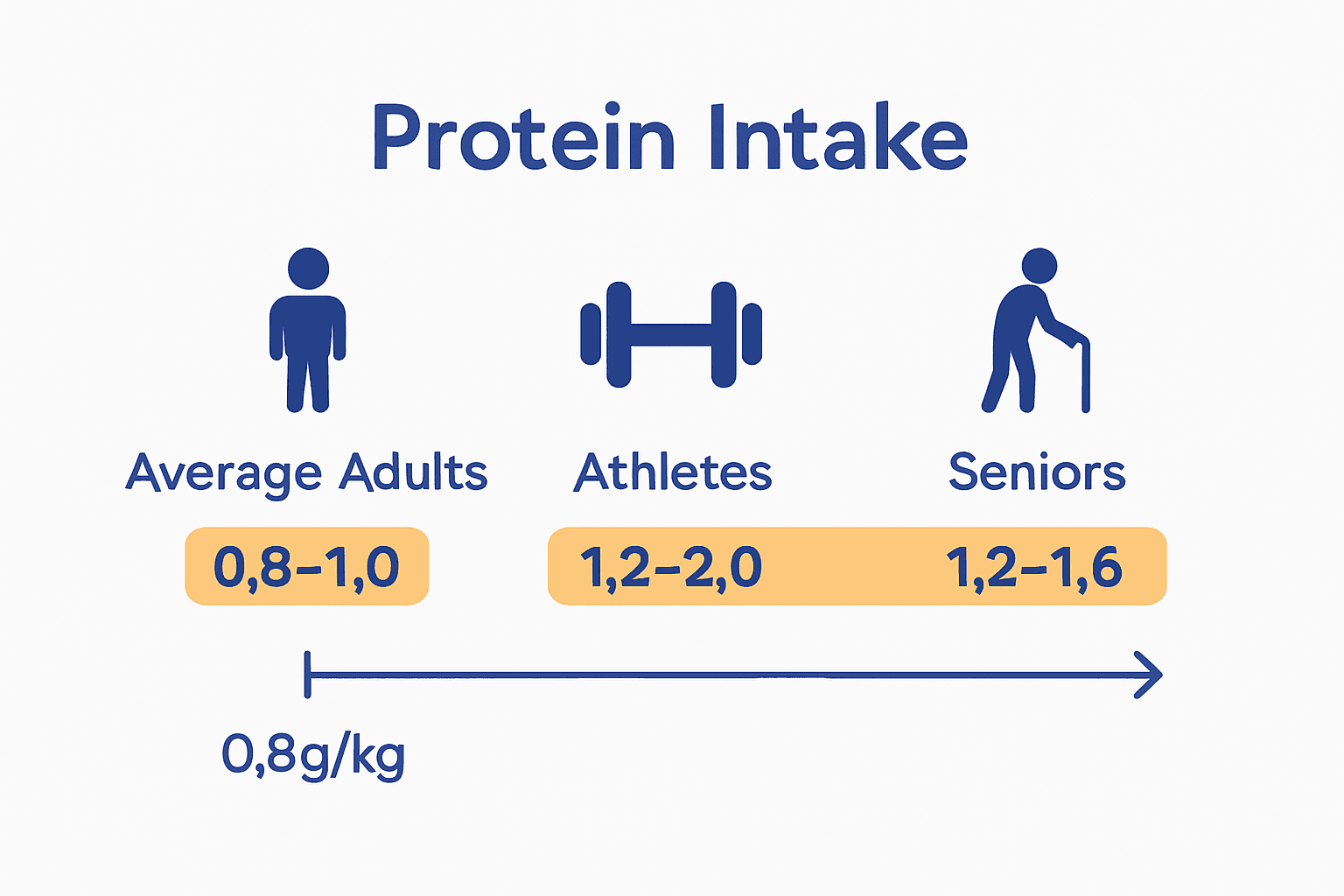 Infographic comparing recommended protein intake for adults, athletes, and seniors.