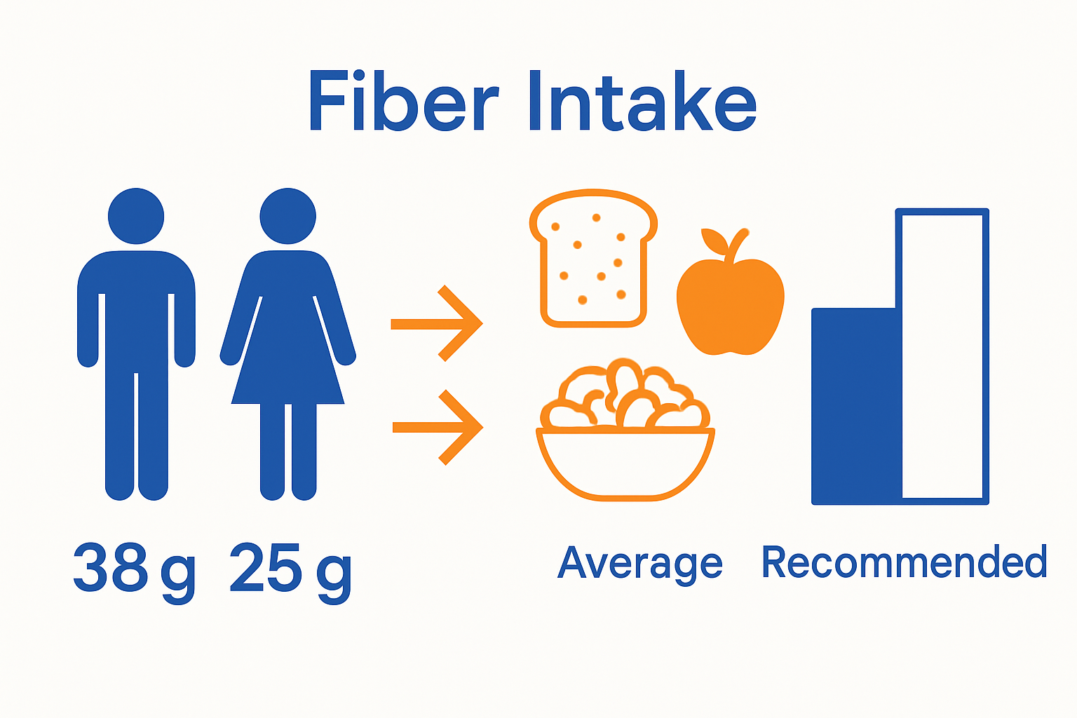 Infographic of daily fiber recommendations