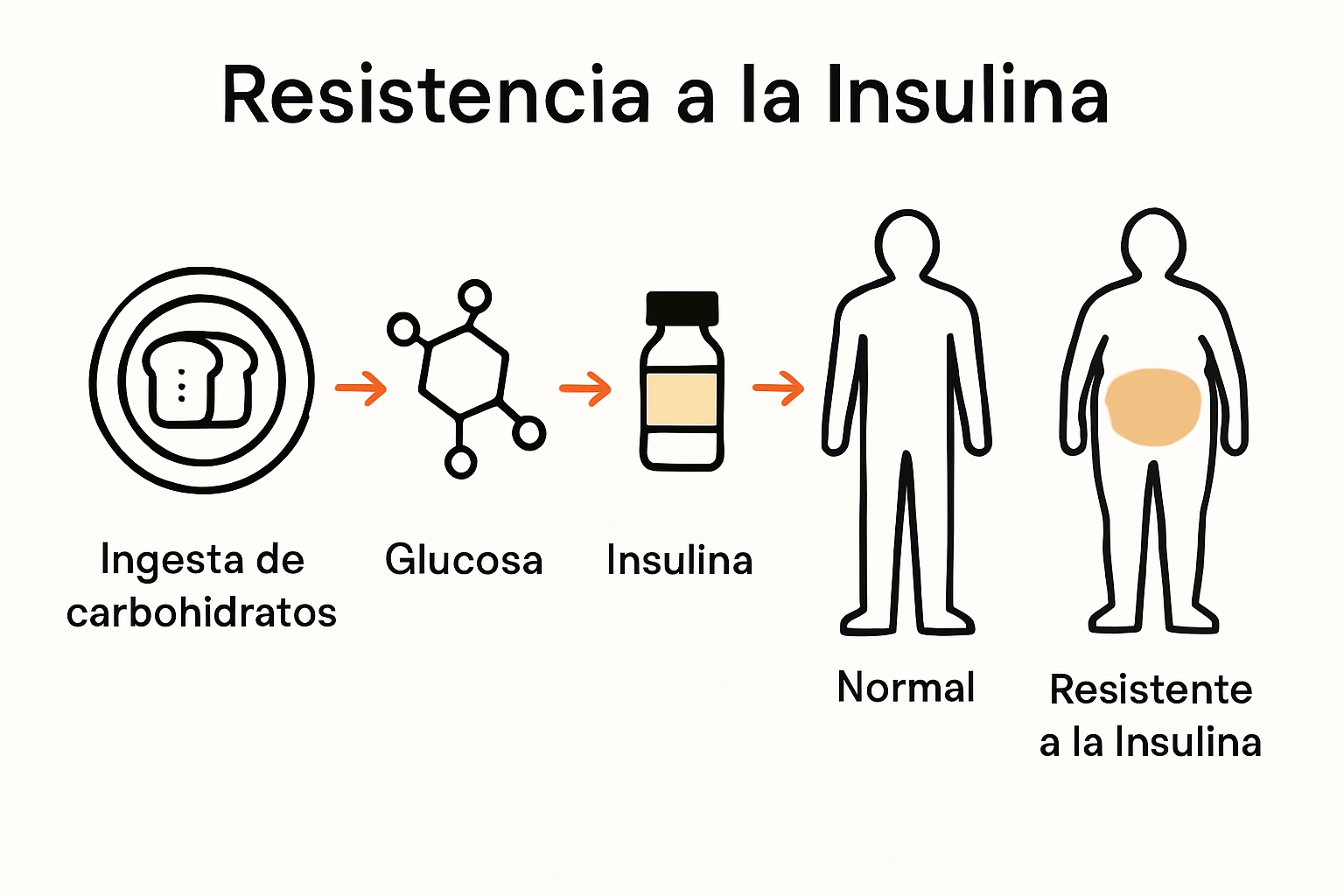Infographic showing insulin’s role in fat storage
