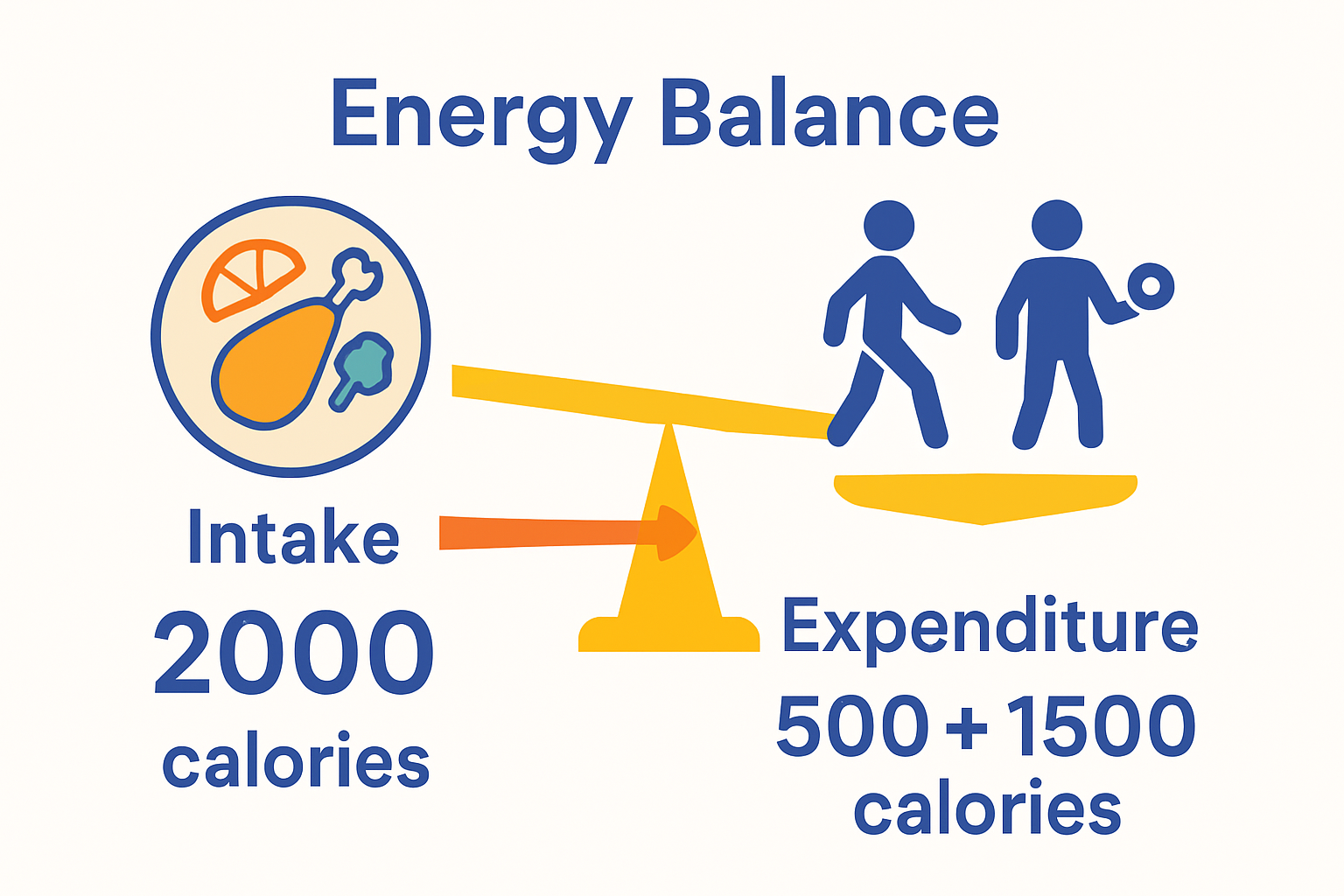 Infographic of calorie intake versus expenditure