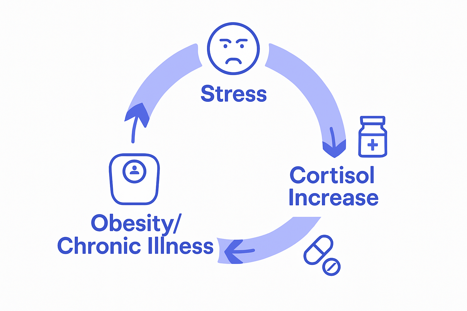 Infographic cycle linking stress, hormones, and illness