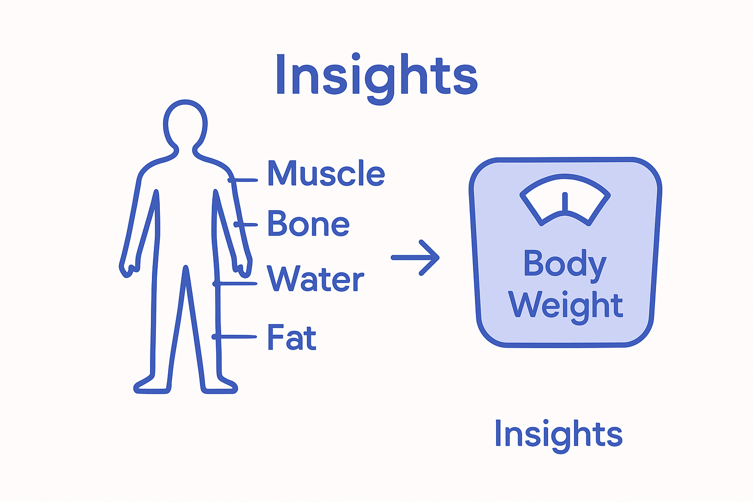 Infographic comparing body composition to body weight