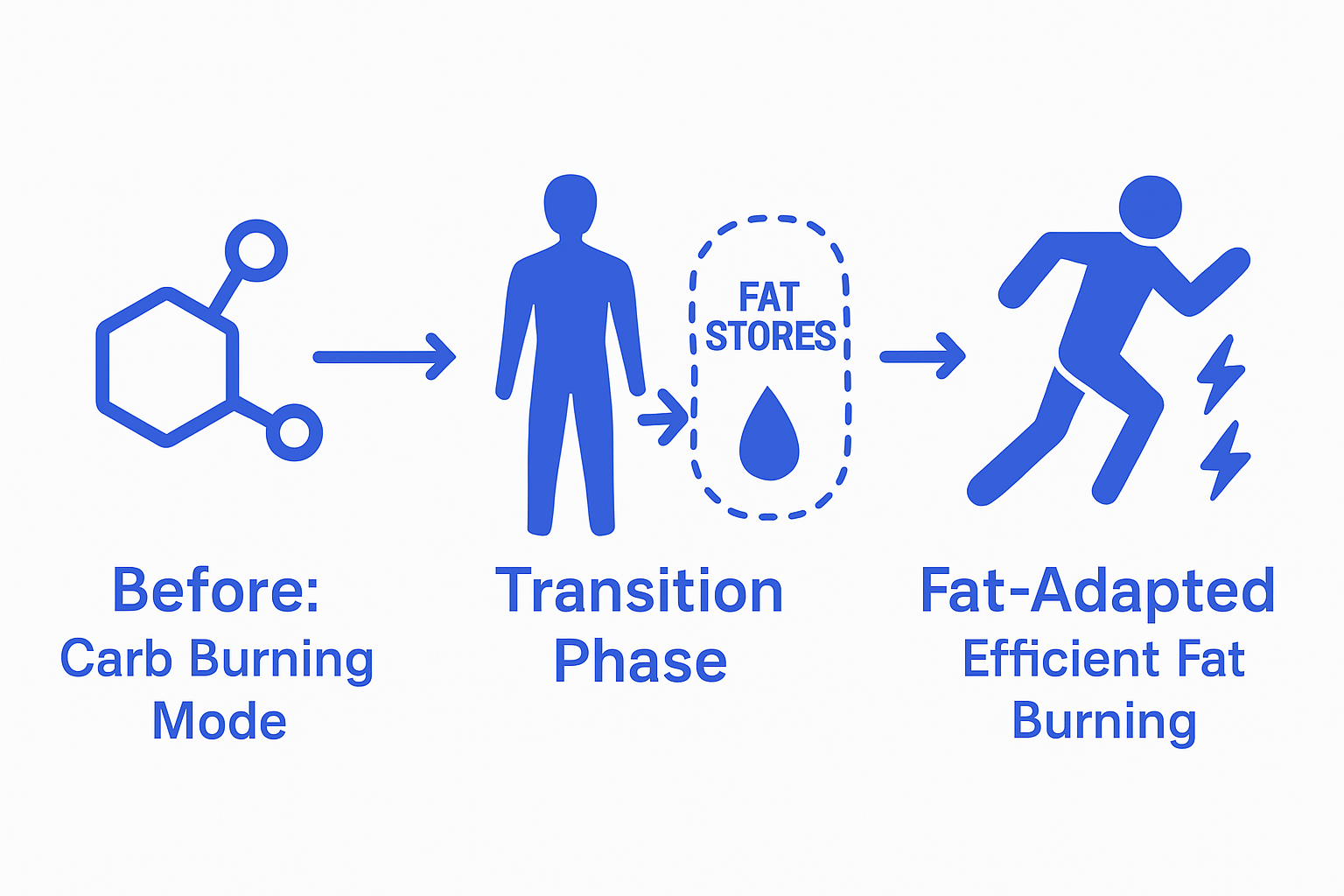 Infographic comparing carb burning and fat adaptation