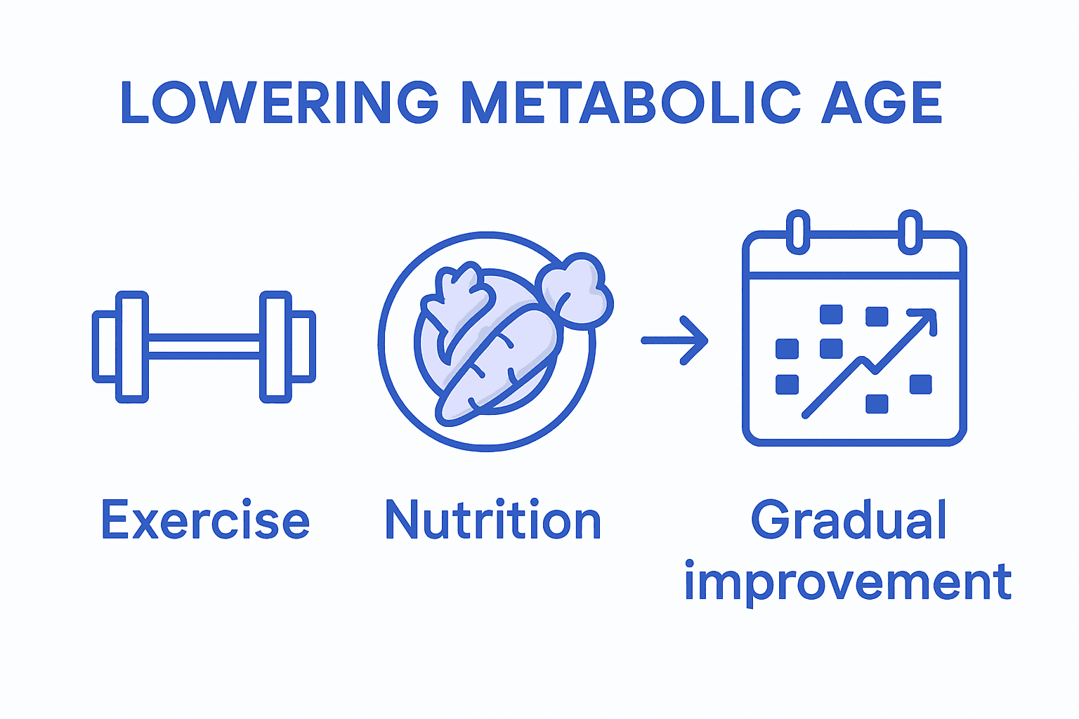 Infographic: exercise, nutrition, progression for metabolic age
