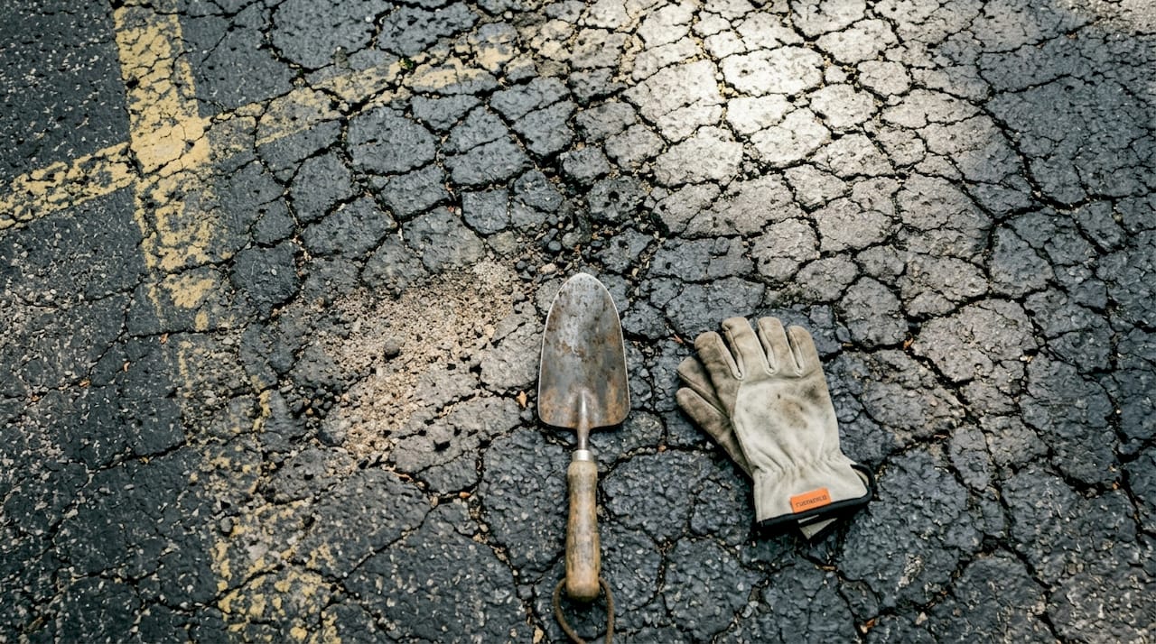 Close-up of alligator cracking in asphalt driveway