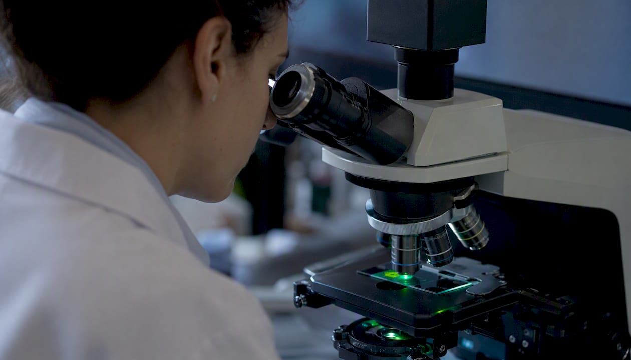Microscope view of ANA immunofluorescence patterns