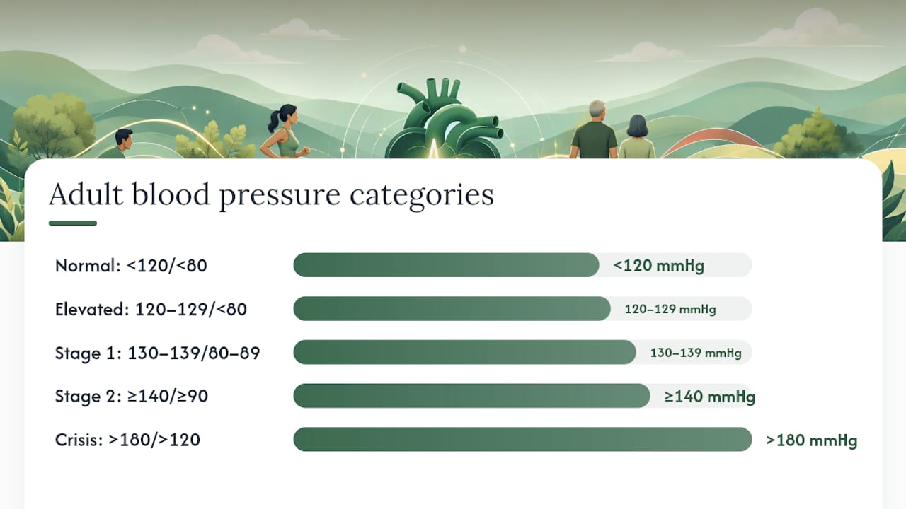 Blood pressure categories chart