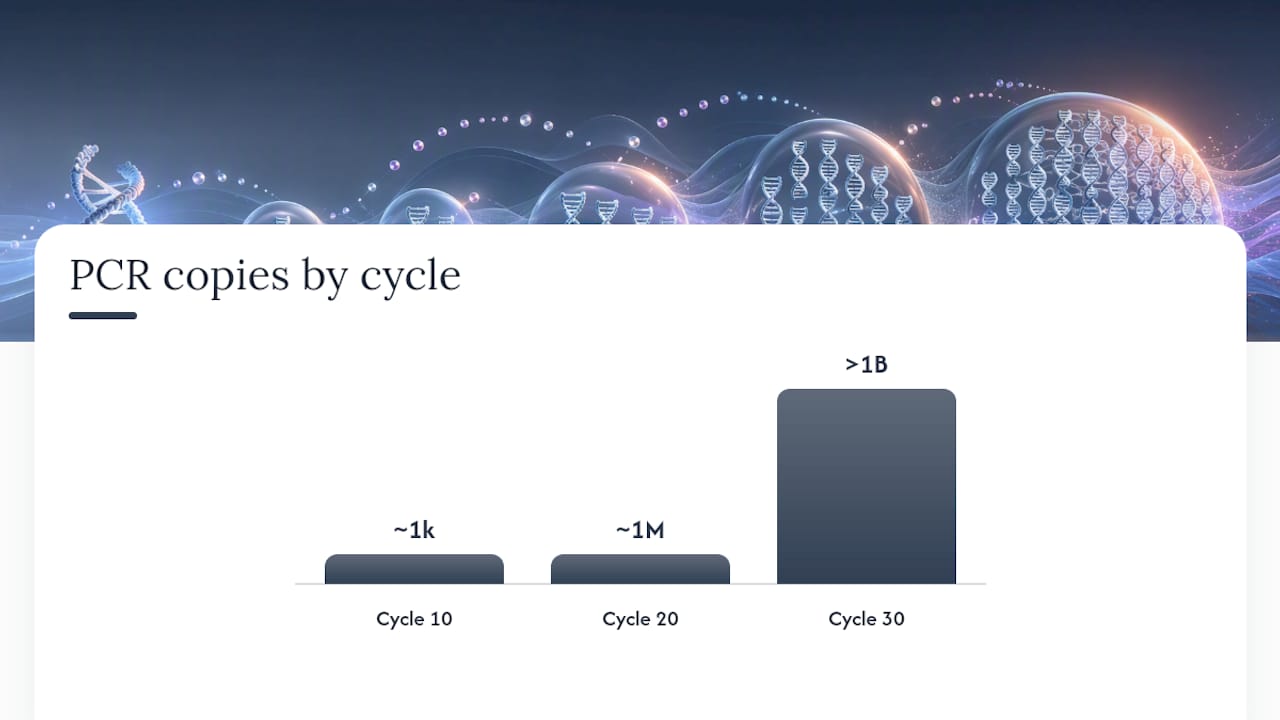 Graph of DNA copy number across PCR cycles