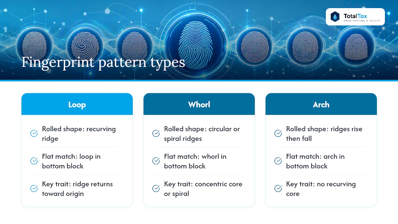Diagram of fingerprint pattern types and quality indicators