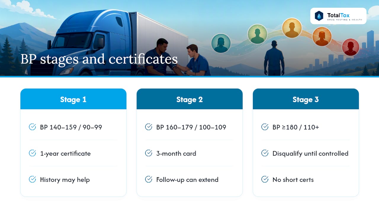 Blood pressure stages and certification lengths diagram