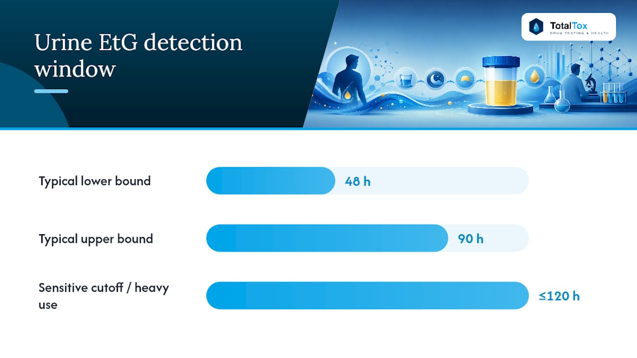 Diagram of EtG detection times and test sensitivity levels