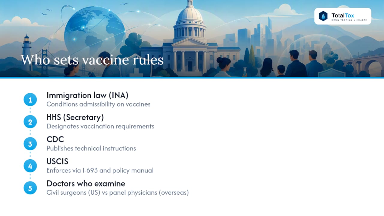 Who Sets These Rules: USCIS, CDC, and the Civil Surgeon's Role — overview diagram
