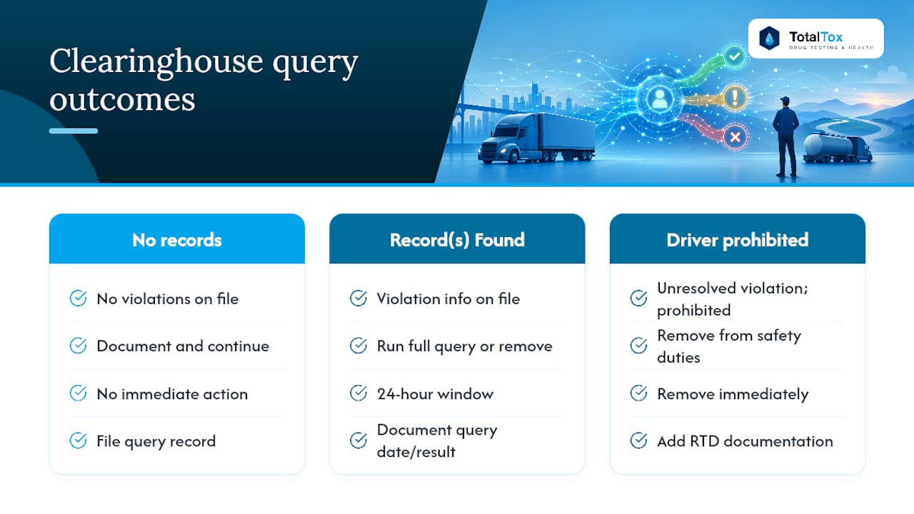 What Clearinghouse Query Results Actually Mean — overview diagram