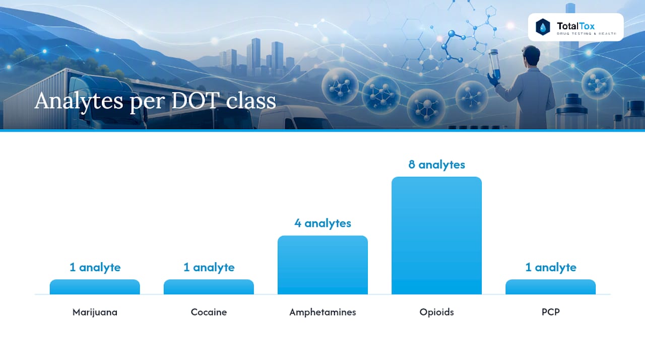 What Substances Are on the DOT Drug Test Panel? — overview diagram