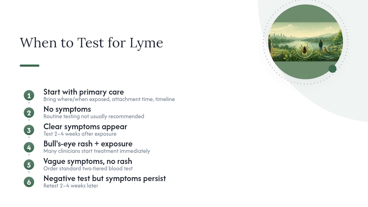 When Should You Get Tested for Lyme Disease? — overview diagram