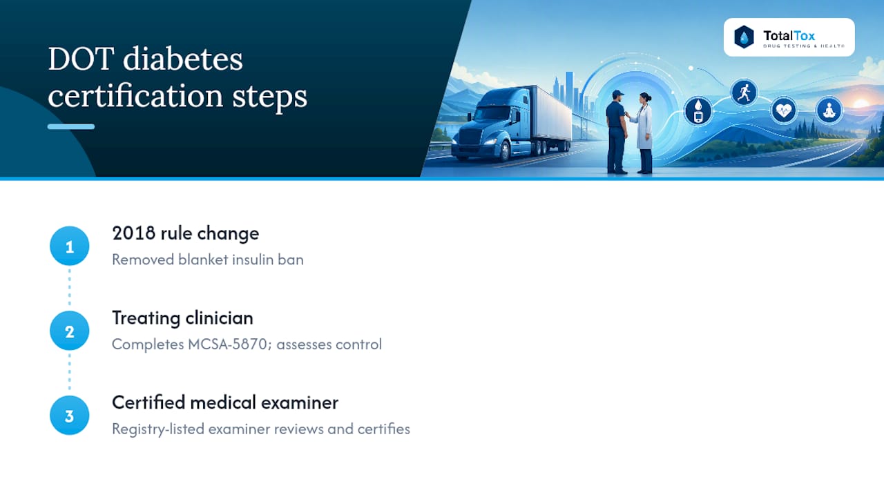 What Are the FMCSA Rules for Diabetes and DOT Physicals? — overview diagram