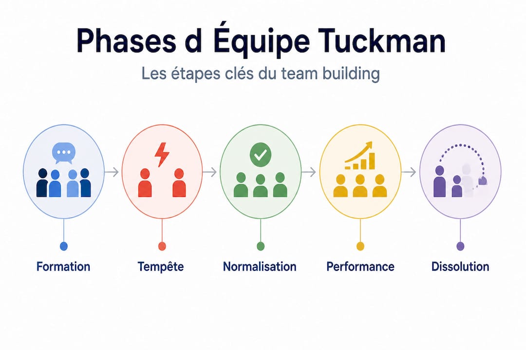Infographie : les grandes étapes du modèle Tuckman pour renforcer la cohésion d’équipe