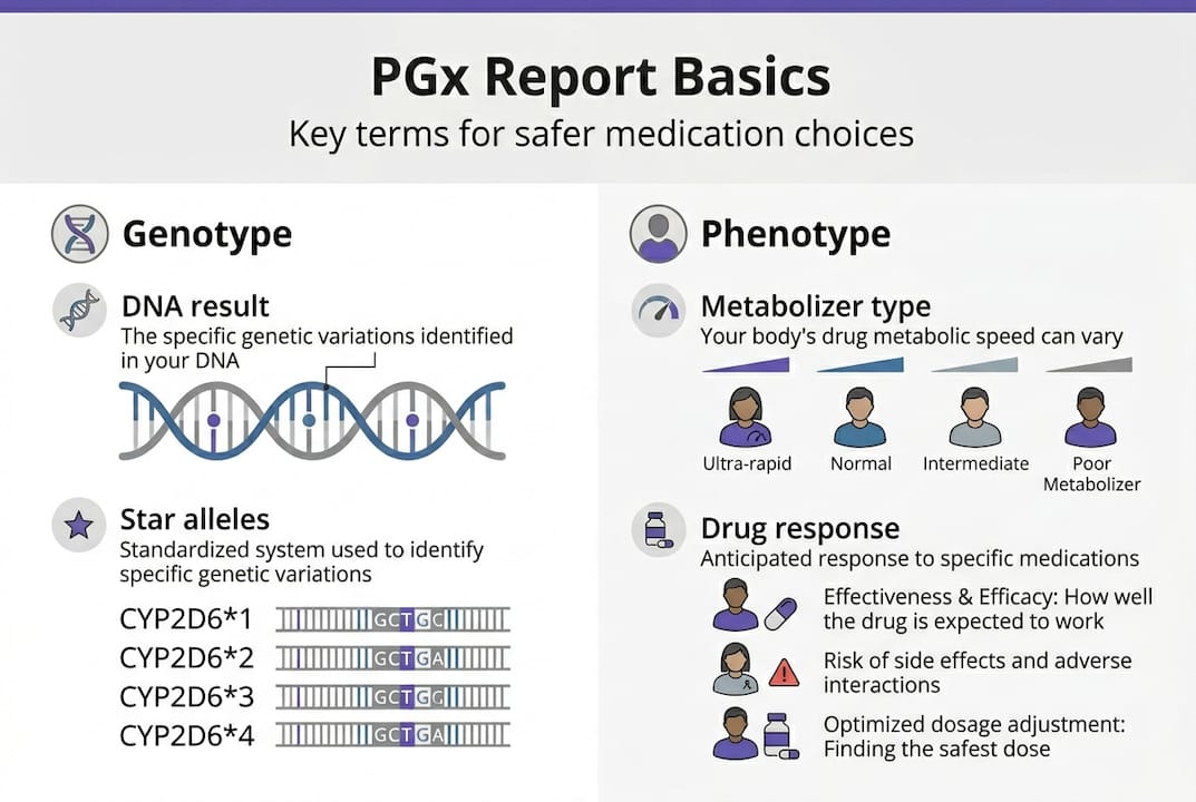 Infographic of PGx genotypes and phenotypes