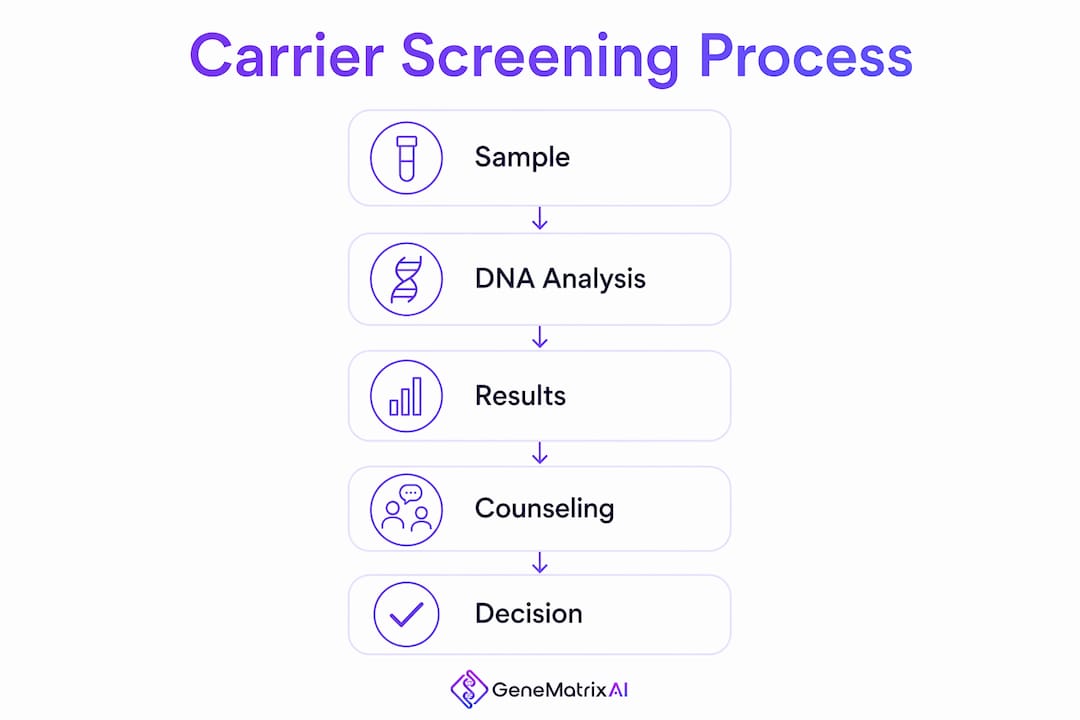Infographic illustrating carrier screening steps