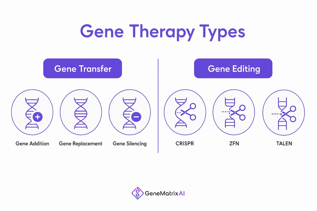 Infographic comparing gene transfer and gene editing types