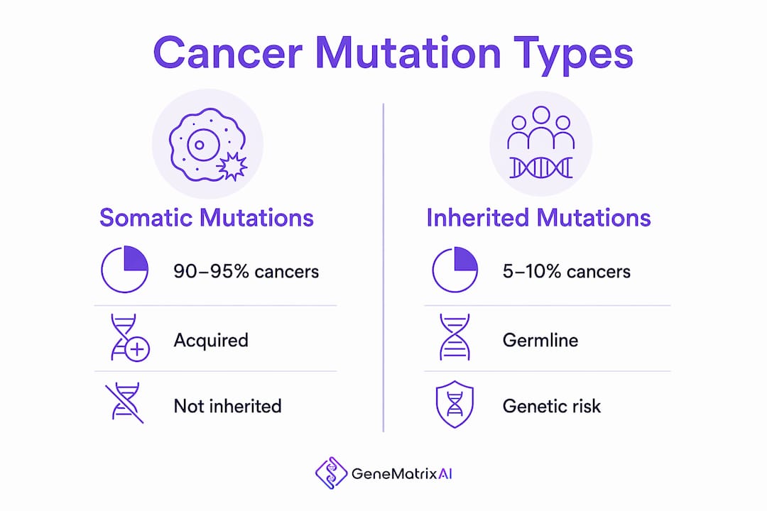Infographic comparing hereditary and somatic cancer mutations