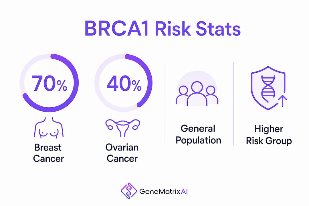 Infographic showing BRCA1 gene related cancer risks
