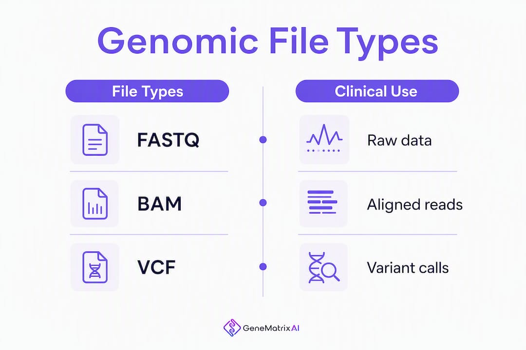 Infographic comparing genomic file types and uses