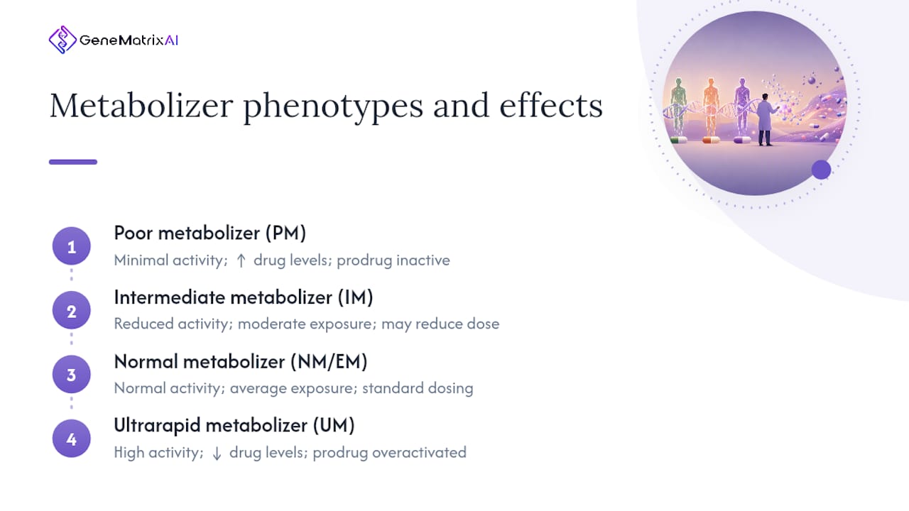 Diagram of metabolizer phenotypes and enzyme activity
