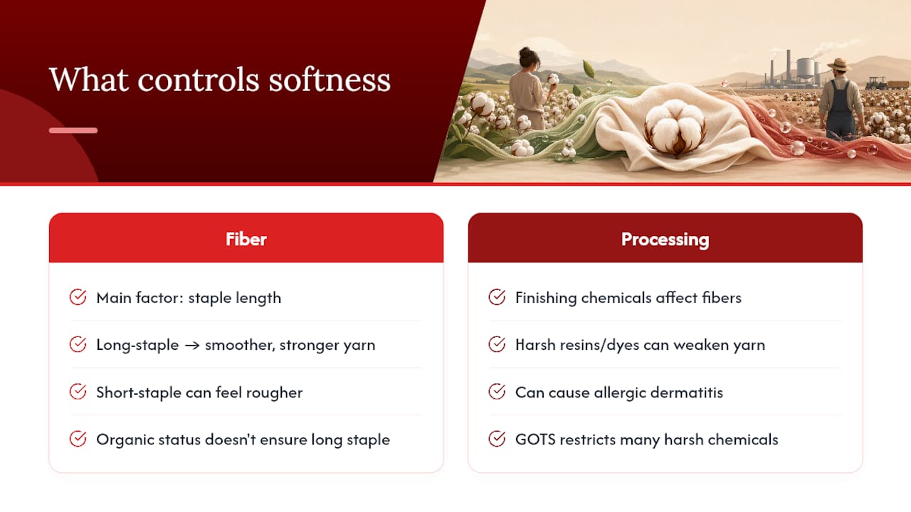 Does Organic Cotton Actually Feel Softer or Last Longer? — overview diagram
