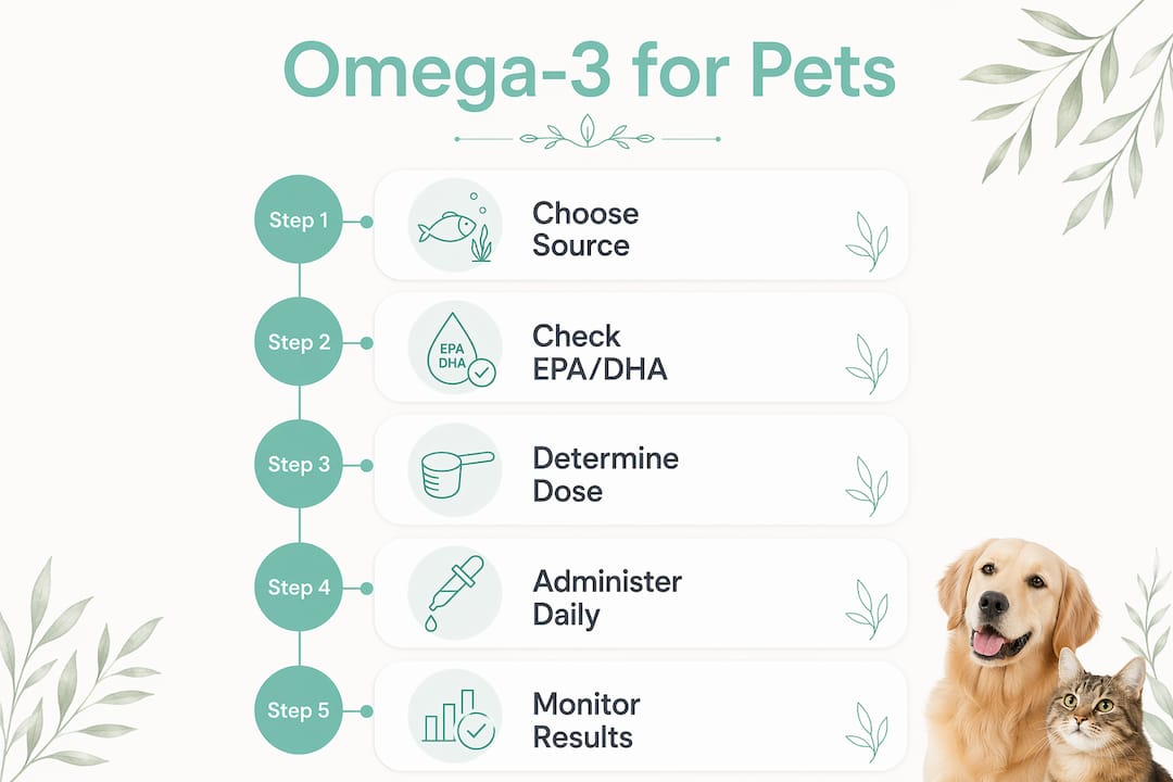 Infographic showing omega-3 dosing and benefits steps